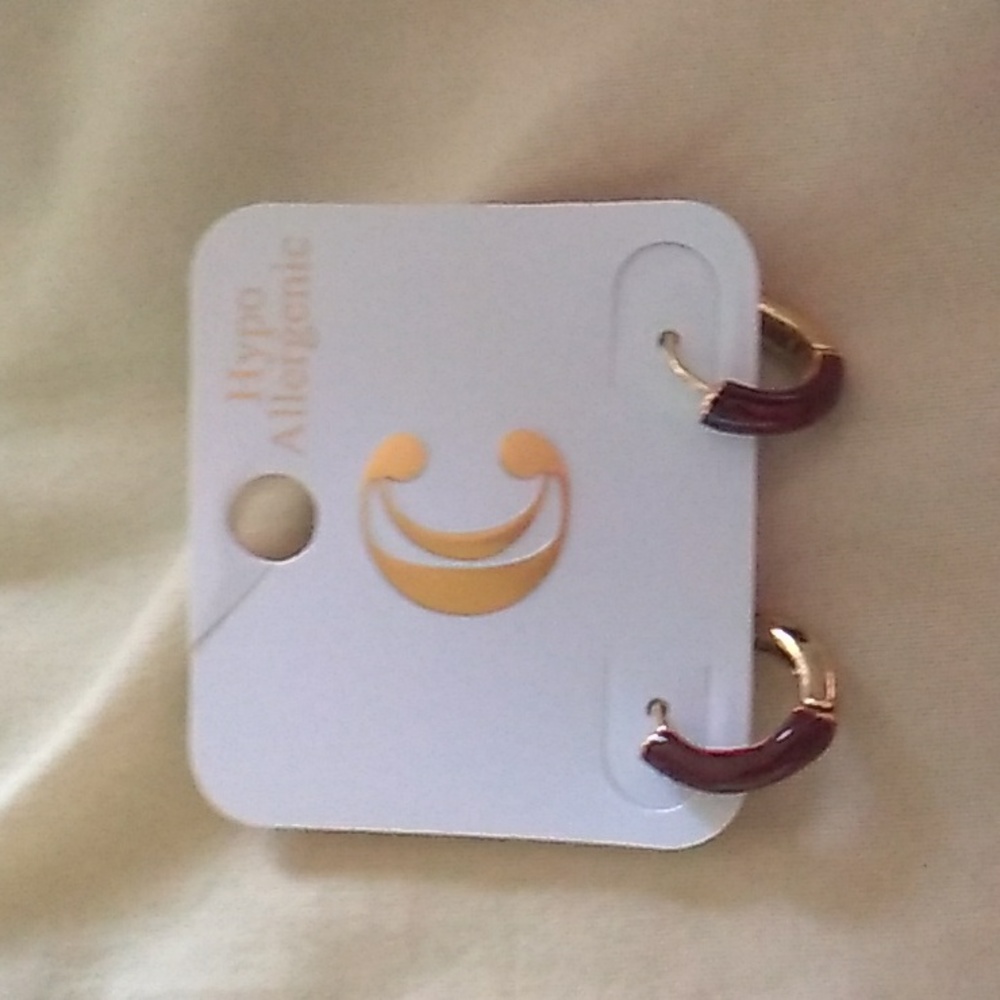 Charming Charlies earrings